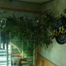 차차차 카센터 이미지