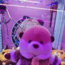 오늘 또 뽑기 중랑역점 이미지