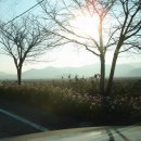 설도주유소 이미지