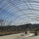 우송농장 이미지