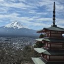 분란 | [도교 여행] 후지산 5가지 명소 1일 투어 내돈내산 후기