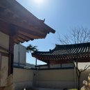 동경주농업협동조합 하나로마트 | 스테이꼬리ㅣ경주 한옥 애견 동반 풀빌라 내돈 내산 독채 숙소 후기 (꼬리 셋)