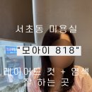모아이818 이미지