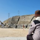 (주)성숙한자매들 이미지