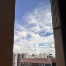 리버트리 이미지