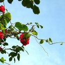 별내리는 펜션 이미지