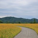 구미강정 이미지