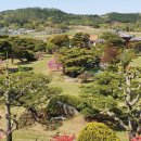 갈멜 왕실의 민박 이미지