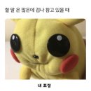 금성침대 | [오늘의집] 침대프레임/수납침대/금성침대프레임 구매후기