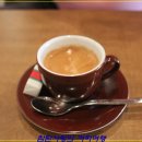 Nil cafe Daum카페