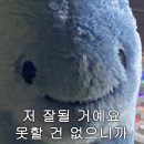 동코 이미지