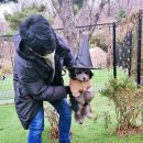 아틀리독 이미지