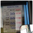 백사파출소 앞 | [2014 초가을 제주도 버스 여행] 제주도 1편_우도