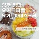 광주 쌍암동 요거트아이스크림 맛집 요거트퍼플 첨단지구점