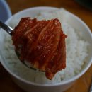 거북 | 은평구맛집/서부감자국