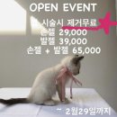 네일은유
