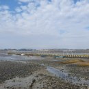 갯벌이야기 이미지