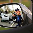 남양행정사 이미지