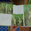 여치공원 이미지