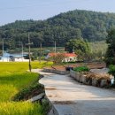 온동마을회관 이미지