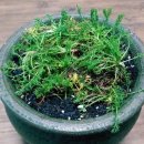 로즈마리 관광펜션 이미지