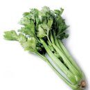 셀러리 이미지