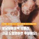 분당유륜미백 르멜라, 지금 도입 안하면 고객은 서울로 갑니다