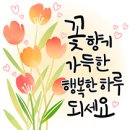 그냥교회 출석합니다. 이미지