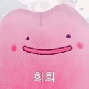 와써 - 달서구 본동 | 와써