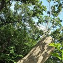 해맞이타운 이미지