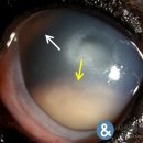 이엔메디칼 이미지