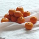 순덕농장 이미지