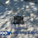 용인신촌중학교 이미지