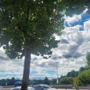 강남대로8길 23-15 이미지