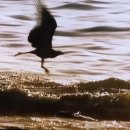 시티원빌딩 이미지