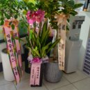 대성종합공구철물 이미지