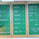 돼지벅스 이미지