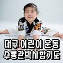 수룡관박사합기도