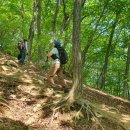 백둔리 주차장 이미지