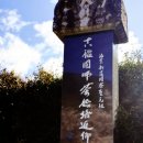 다원산업 | 우리나라 최초의 차 시배지 ; 하동쌍계사 차나무 시배지 | 천년 茶향 따라 걷는 왕의차 화개 다원 힐링여행