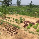 오곡농장 이미지