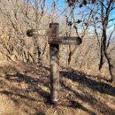 비손약국 이미지