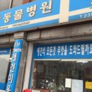 동부 동물병원 이미지