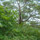 영곡마을 이미지