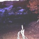 정든여관 이미지