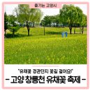 덕양구청 자전거 주차장 | "고양 창릉천 유채꽃 축제", 유채꽃 경관단지 꽃길 걸어요!