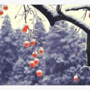 버르장머리 이미지