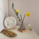 유어마이펫 이미지