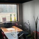 비스포레 이미지