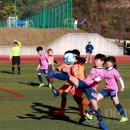 백암다목적운동장 이미지